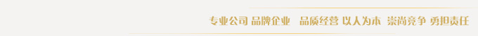 专业公司,品牌企业